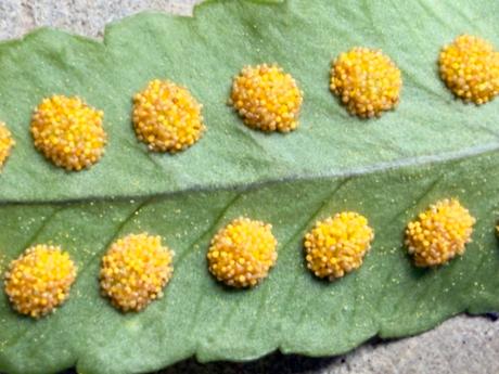 Resiliencia máxima. #2025