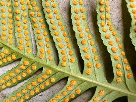 Resiliencia máxima. #2025