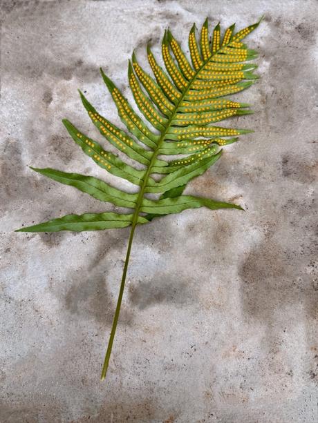 Resiliencia máxima. #2025