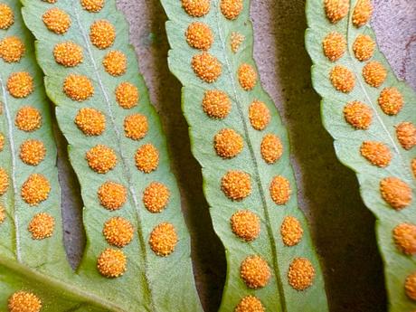 Resiliencia máxima. #2025