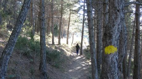 Ruta de Prullans a Cova d’Anes | Cerdanya Ruta de Prullans a Cova d’Anes | Cerdanya
