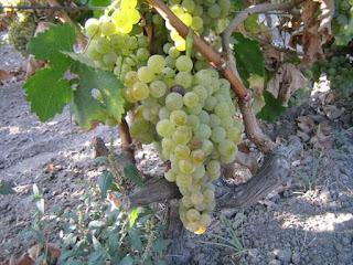 Última entrada de 2024