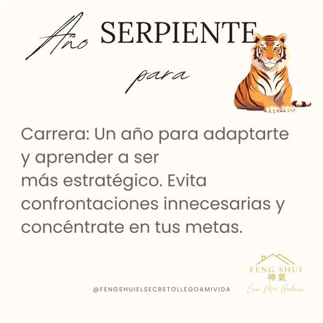 🌟 Las 3 Claves más importantes para el Tigre 🐯 en el año de la Serpiente 🐍 en 2025