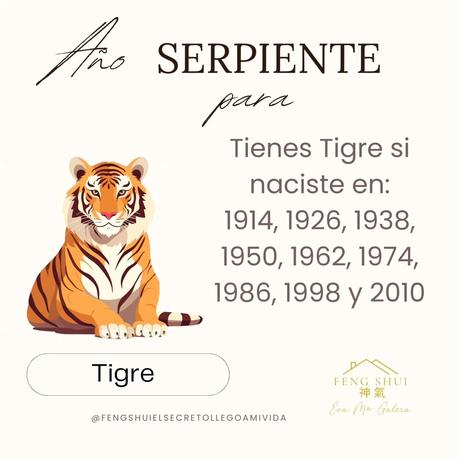 🌟 Las 3 Claves más importantes para el Tigre 🐯 en el año de la Serpiente 🐍 en 2025