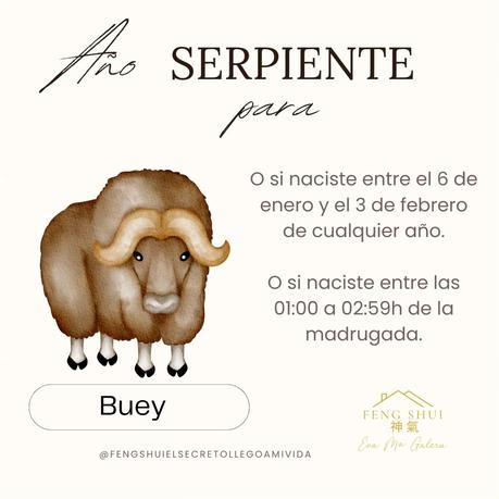 🌟 Las 3 Claves más importantes para el Buey 🐂 en el año de la Serpiente 🐍 en 2025