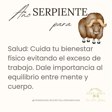 🌟 Las 3 Claves más importantes para el Buey 🐂 en el año de la Serpiente 🐍 en 2025