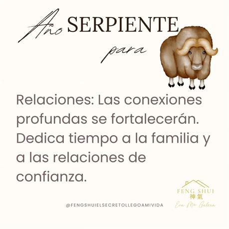 🌟 Las 3 Claves más importantes para el Buey 🐂 en el año de la Serpiente 🐍 en 2025