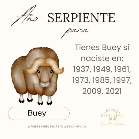 🌟 Las 3 Claves más importantes para el Buey 🐂 en el año de la Serpiente 🐍 en 2025