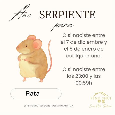 Las 3 Claves para la Rata 🐀 en el año de la Serpiente 🐍 en 2025