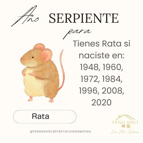 Las 3 Claves para la Rata 🐀 en el año de la Serpiente 🐍 en 2025