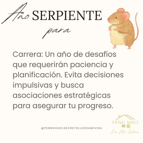 Las 3 Claves para la Rata 🐀 en el año de la Serpiente 🐍 en 2025