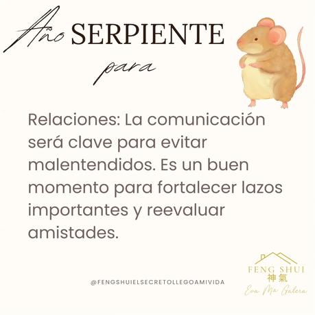 Las 3 Claves para la Rata 🐀 en el año de la Serpiente 🐍 en 2025