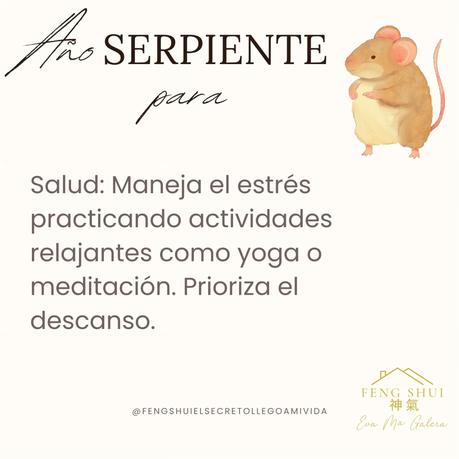 Las 3 Claves para la Rata 🐀 en el año de la Serpiente 🐍 en 2025