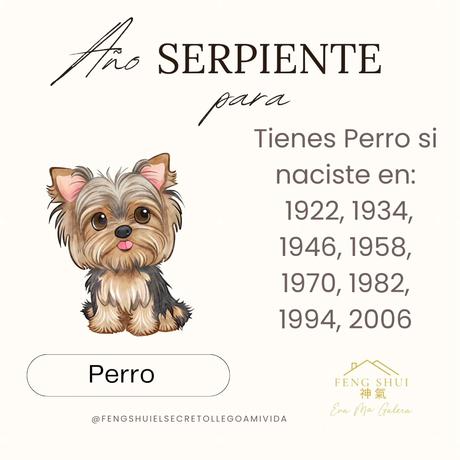 Horóscopo chino del Perro 🐕 y el Cerdo 🐖 para el año Serpiente 🐍