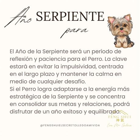 Horóscopo chino del Perro 🐕 y el Cerdo 🐖 para el año Serpiente 🐍