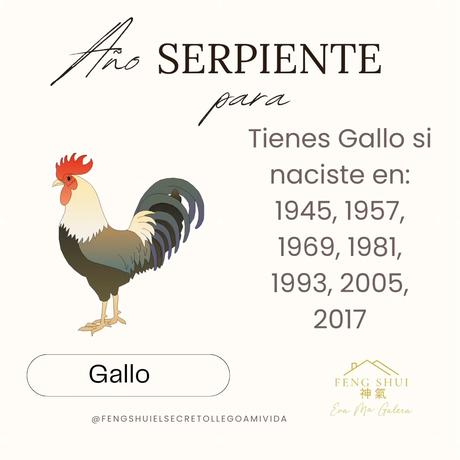 Horóscopo chino para el Mono 🙈 y el Gallo 🐓 en el año Serpiente 🐍