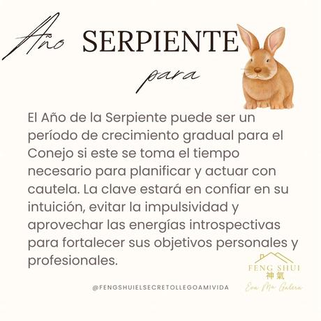 Horóscopo para el Tigre 🐅 y el Conejo 🐇 en el año Serpiente 🐍