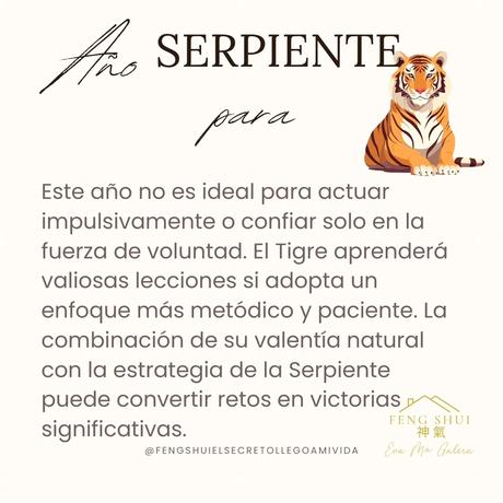 Horóscopo para el Tigre 🐅 y el Conejo 🐇 en el año Serpiente 🐍