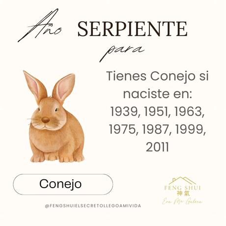 Horóscopo para el Tigre 🐅 y el Conejo 🐇 en el año Serpiente 🐍