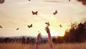 Gracias eternas, nuevo país, nueva vida, desafíos, 150.000€, amor y sacrificio