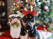 Aventúrate mejores hoteles para niños tenerife: puedes perder.