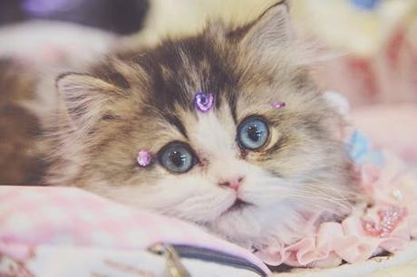 Todo lo que necesitas saber sobre love hotel málaga en un solo lugar.