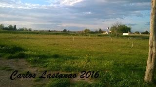 Diez años de trabajo, 300 años de historia.