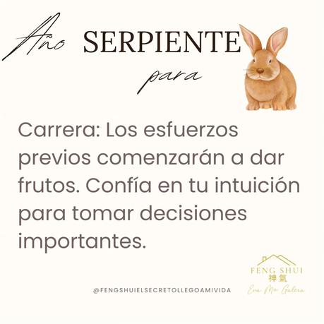 🌟 Las 3 Claves más importantes para el Conejo 🐇 en el año de la Serpiente 🐍 en 2025.