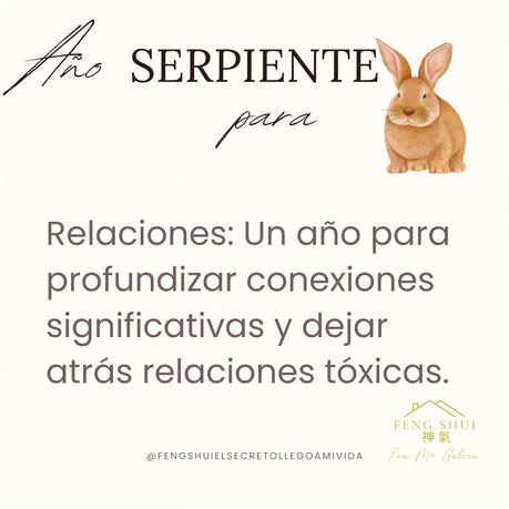 🌟 Las 3 Claves más importantes para el Conejo 🐇 en el año de la Serpiente 🐍 en 2025.