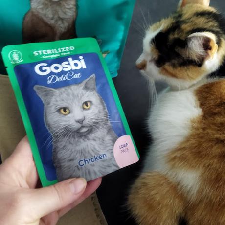 Descubriendo la dieta mediterránea de Gosbi