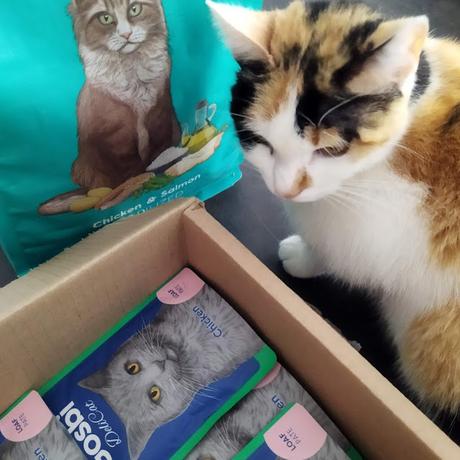 Descubriendo la dieta mediterránea de Gosbi