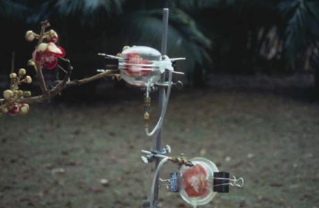 Qué es la tecnología Headspace Nature print ScentTreck Jungle essence firmenich Givaudan perfumería taksago mane medioambiente para que sirve Qué es la tecnología Headspace Nature print ScentTreck Jungle essence firmenich Givaudan perfumería taksago mane medioambiente para que sirve