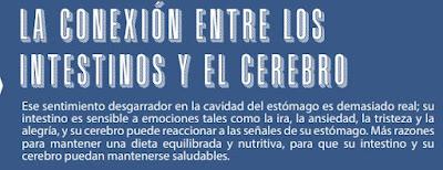 INTESTINO Y CEREBRO