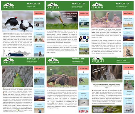 La Newsletter de Concolor Media