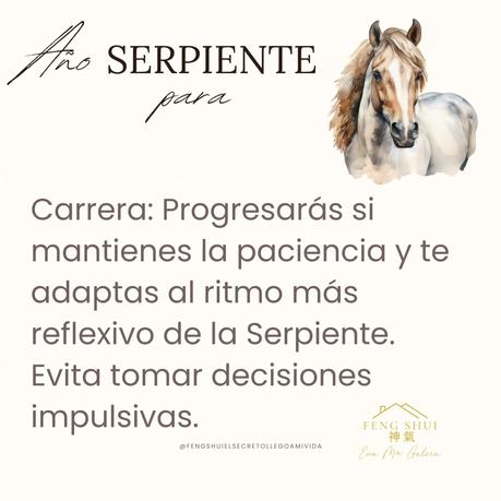 🌟 Las 3 Claves más importantes para el Caballo 🐎 en el año de la Serpiente 🐍 en 2025