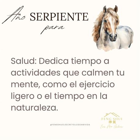 🌟 Las 3 Claves más importantes para el Caballo 🐎 en el año de la Serpiente 🐍 en 2025