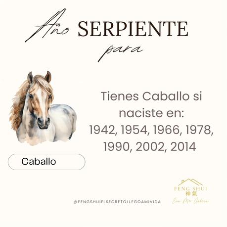 🌟 Las 3 Claves más importantes para el Caballo 🐎 en el año de la Serpiente 🐍 en 2025