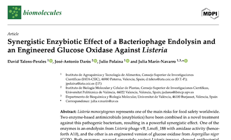 Cuando la unión hace la fuerza: dos enzimas se alían para combatir a Listeria
