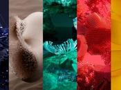 paleta colores transformará estilo 2025