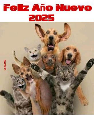 Año nuevo, vida vieja...