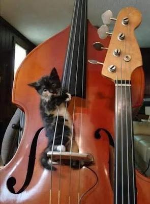 Año nuevo, vida vieja...