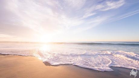 Fin de año inesperado Fin de año inesperado