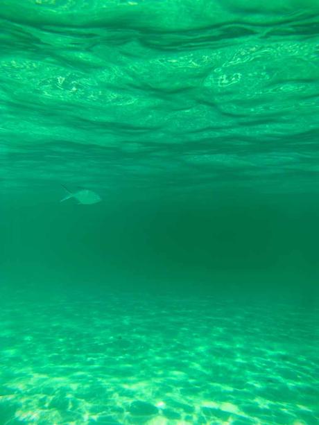 Koh Lipe (Tailandia)