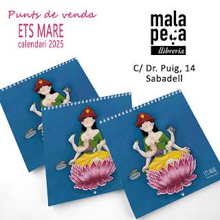 Así fue mi 2024 Así fue mi 2024