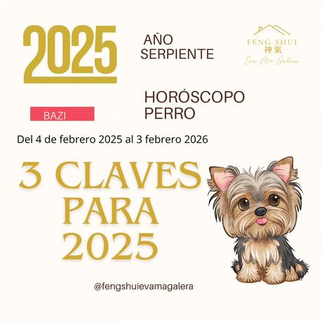 🌟 Las 3 Claves más importantes para el Perro 🐕 en el año de la Serpiente 🐍 en 2025