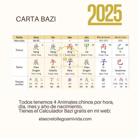 🌟 Las 3 Claves más importantes para el Perro 🐕 en el año de la Serpiente 🐍 en 2025