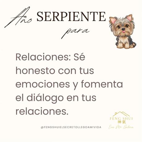 🌟 Las 3 Claves más importantes para el Perro 🐕 en el año de la Serpiente 🐍 en 2025