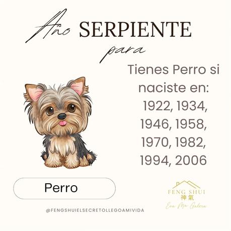 🌟 Las 3 Claves más importantes para el Perro 🐕 en el año de la Serpiente 🐍 en 2025