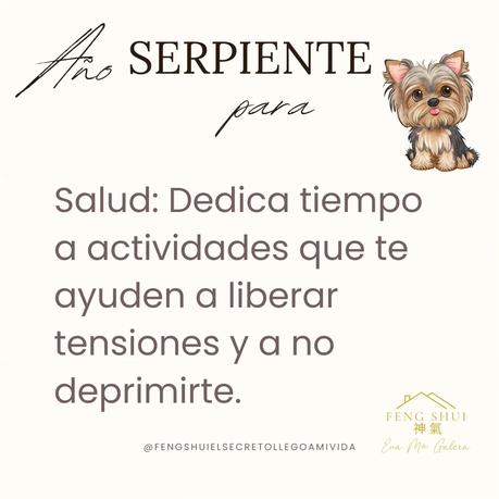 🌟 Las 3 Claves más importantes para el Perro 🐕 en el año de la Serpiente 🐍 en 2025