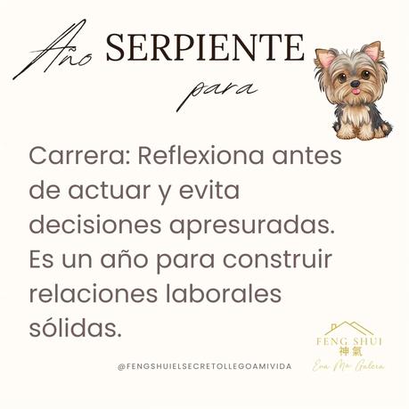 🌟 Las 3 Claves más importantes para el Perro 🐕 en el año de la Serpiente 🐍 en 2025